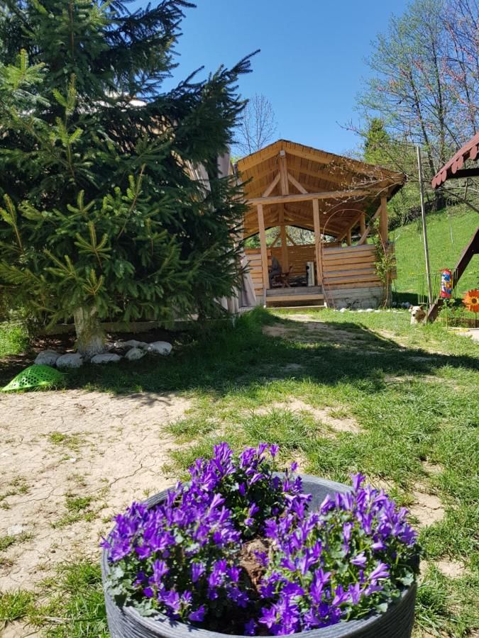 Гостевой дом Pension Bran Ioana Бран-15