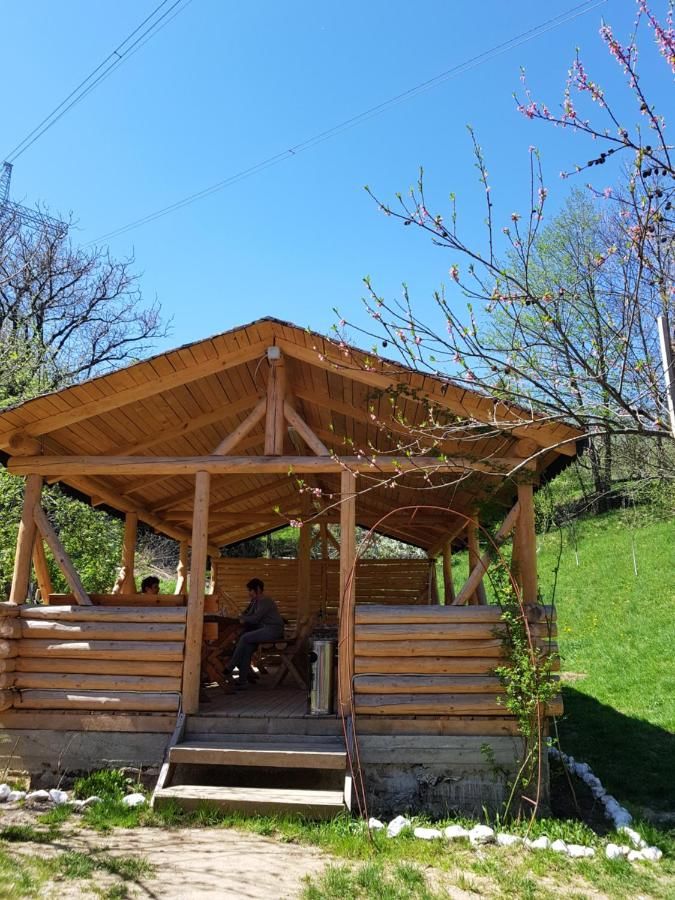 Гостевой дом Pension Bran Ioana Бран-23