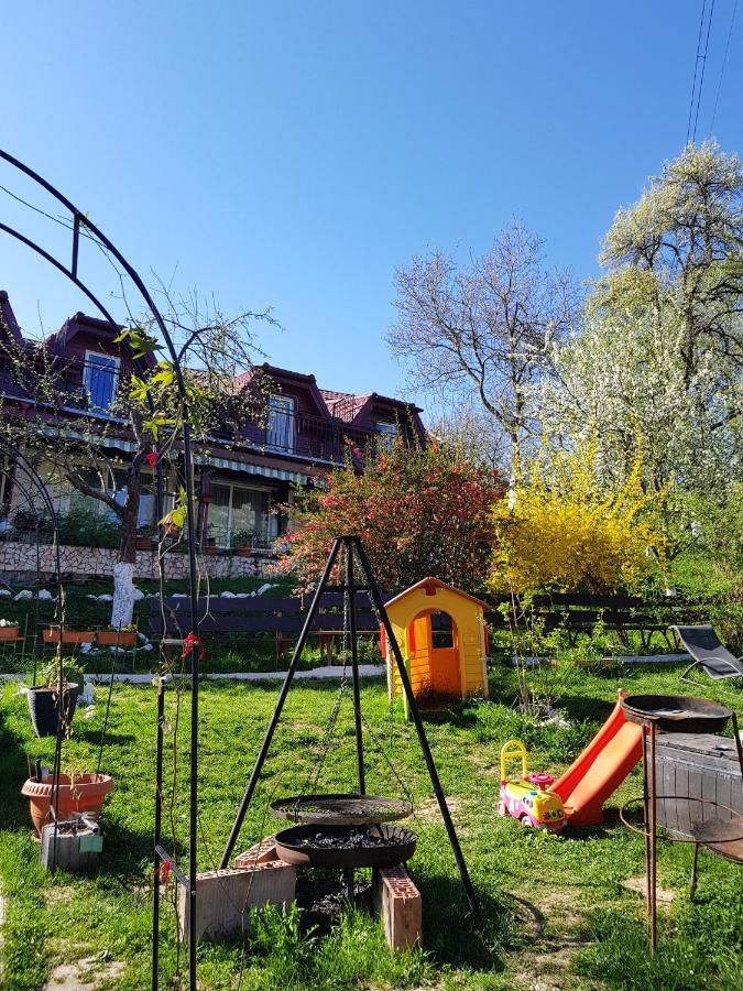Гостевой дом Pension Bran Ioana Бран-39