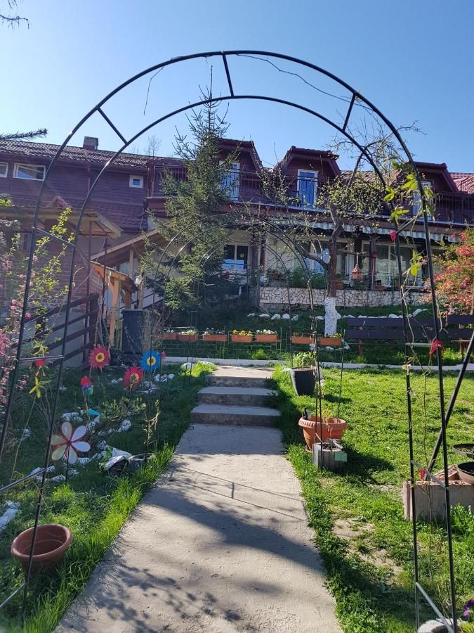 Гостевой дом Pension Bran Ioana Бран-40