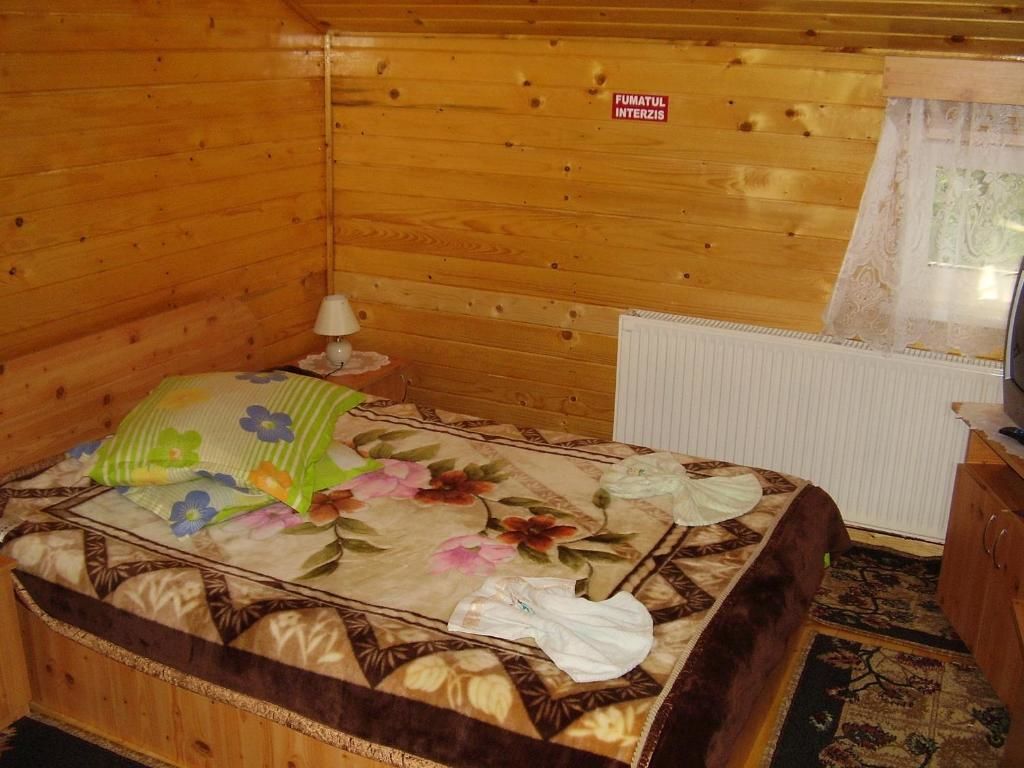 Гостевой дом Pension Bran Ioana Бран
