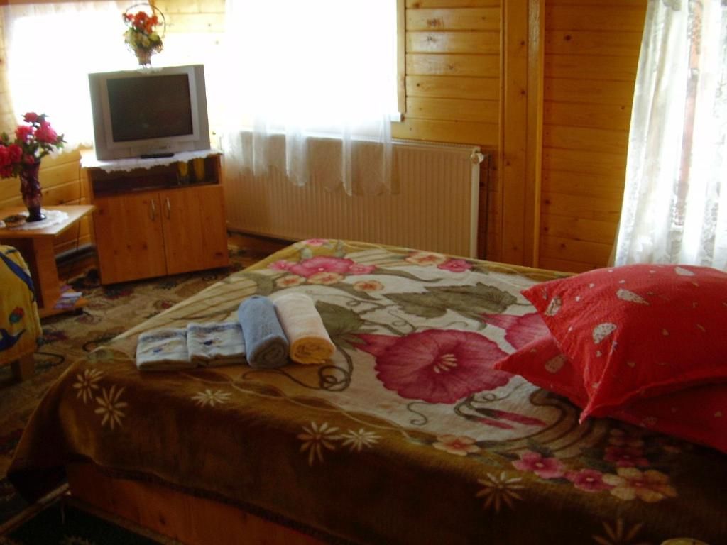 Гостевой дом Pension Bran Ioana Бран-52